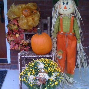 Meet your Posher, Judy